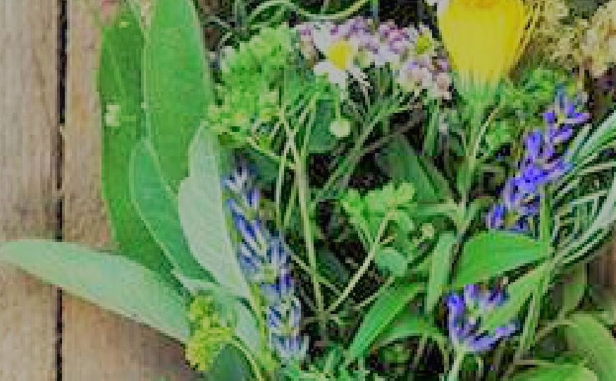 Hochfest 15.8.2021_Vorschau