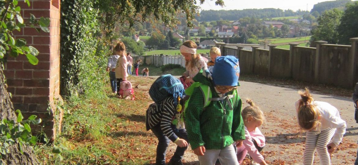 Herbstspaziergang (12)